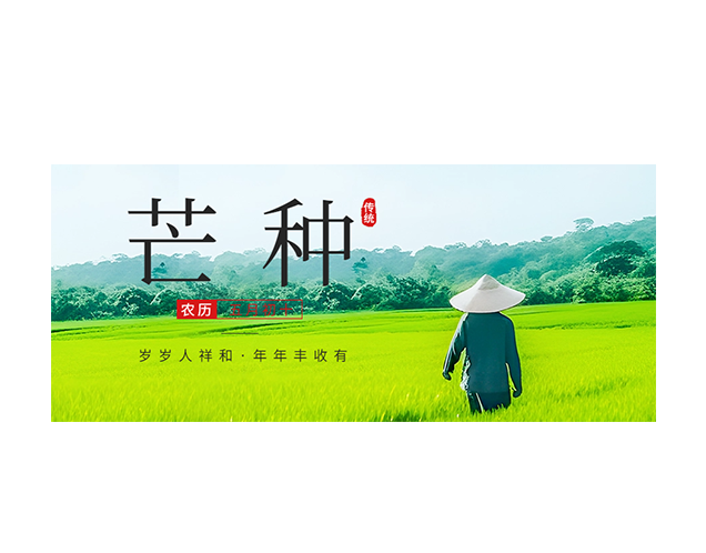 芒种 ┃ 岁岁人祥和  年年丰收有