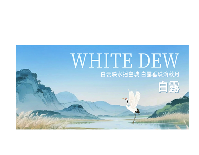 白露┃白云映水摇空城 白露垂珠滴秋月