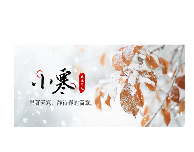 小寒┃岁暮天寒，静待春的篇章