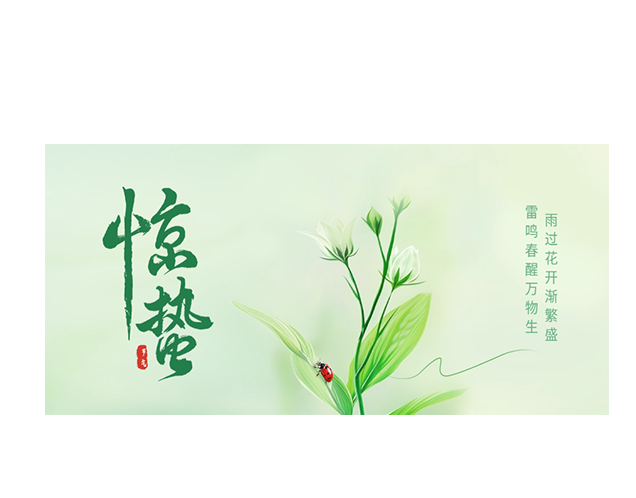 惊蛰┃雨过花开渐繁盛，雷鸣春醒万物生