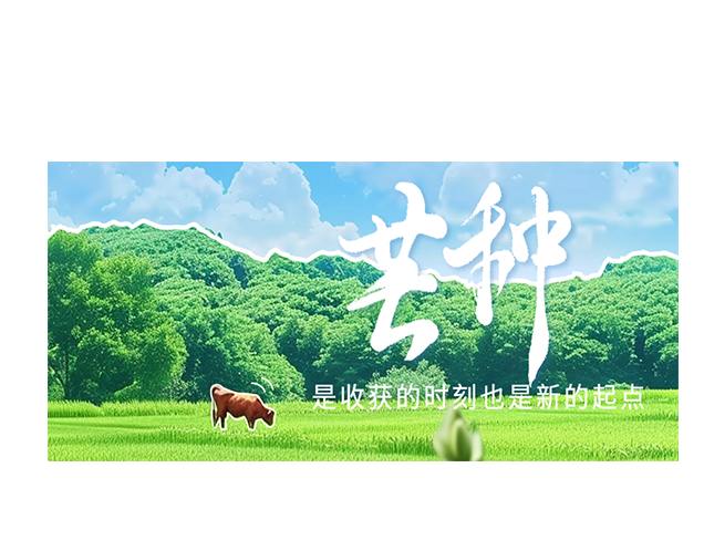 芒种┃是收获的时刻，也是新的起点
